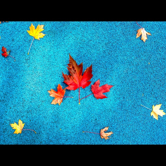 Meet your Posher, Ratul - Picture 1 of 1